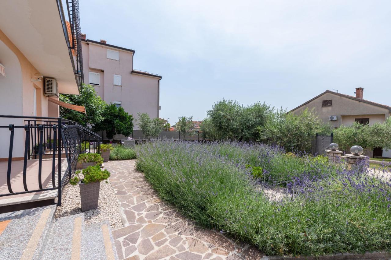 Apartment Masha Novigrad Istria Eksteriør bilde