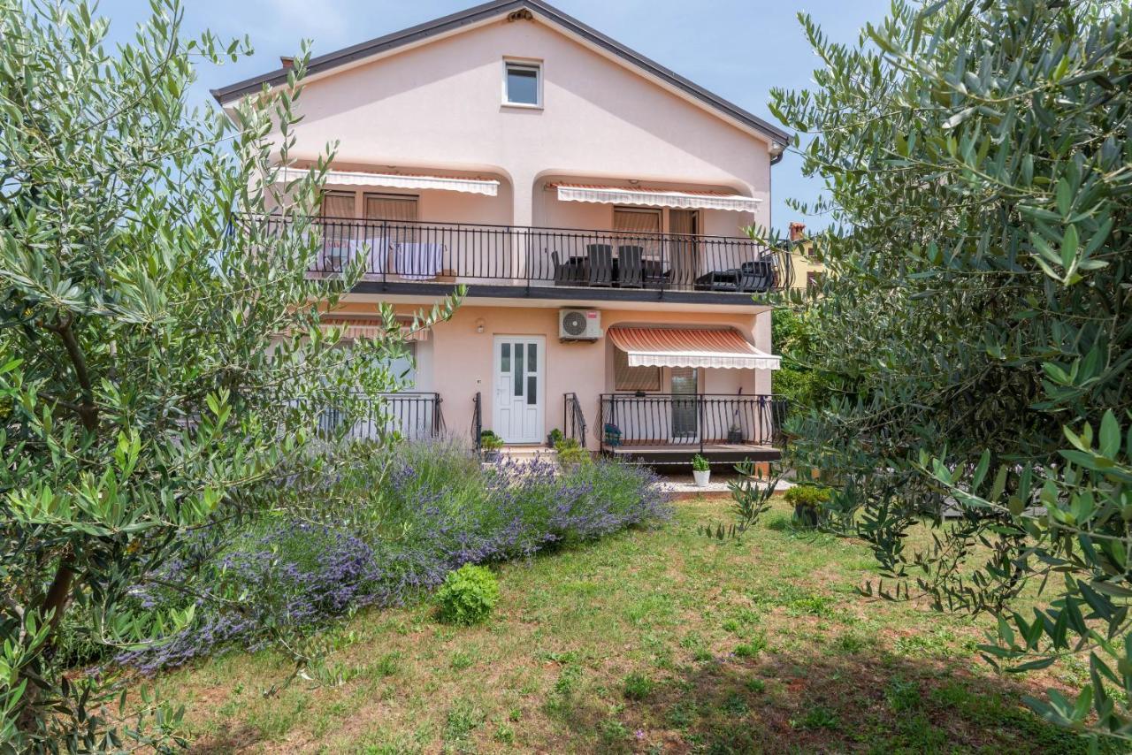 Apartment Masha Novigrad Istria Eksteriør bilde